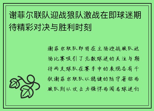 谢菲尔联队迎战狼队激战在即球迷期待精彩对决与胜利时刻
