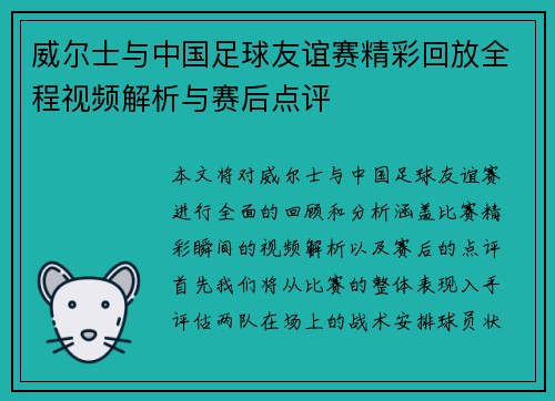 威尔士与中国足球友谊赛精彩回放全程视频解析与赛后点评