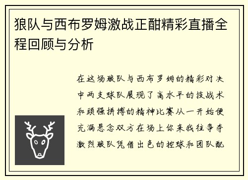 狼队与西布罗姆激战正酣精彩直播全程回顾与分析