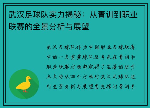 武汉足球队实力揭秘：从青训到职业联赛的全景分析与展望