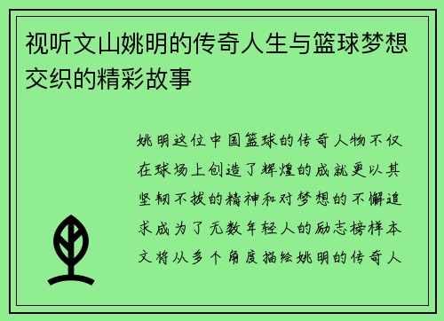 视听文山姚明的传奇人生与篮球梦想交织的精彩故事