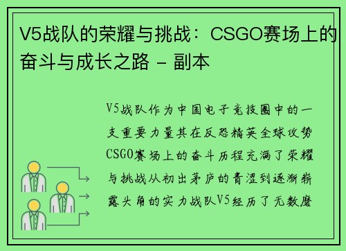 V5战队的荣耀与挑战：CSGO赛场上的奋斗与成长之路 - 副本