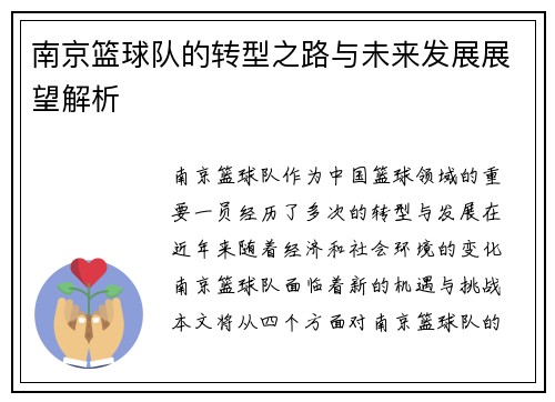 南京篮球队的转型之路与未来发展展望解析