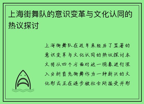 上海街舞队的意识变革与文化认同的热议探讨