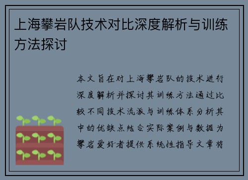 上海攀岩队技术对比深度解析与训练方法探讨